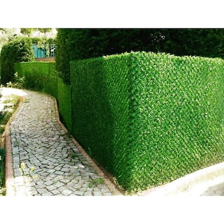 Modele de garduri verzi 9